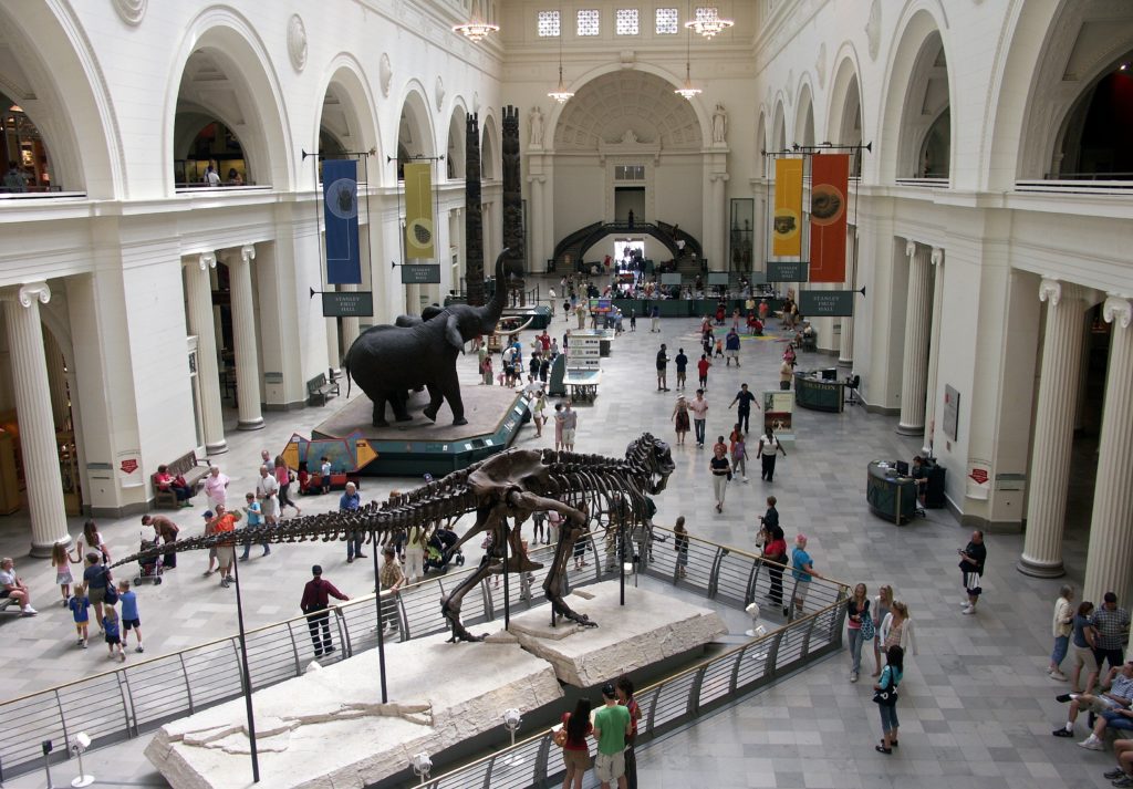 Top 7 Museums In London You Need To Visit - TravelForU