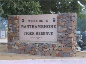 an-introduction-to-ranthambore-national-park